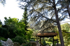 Kubota Garden