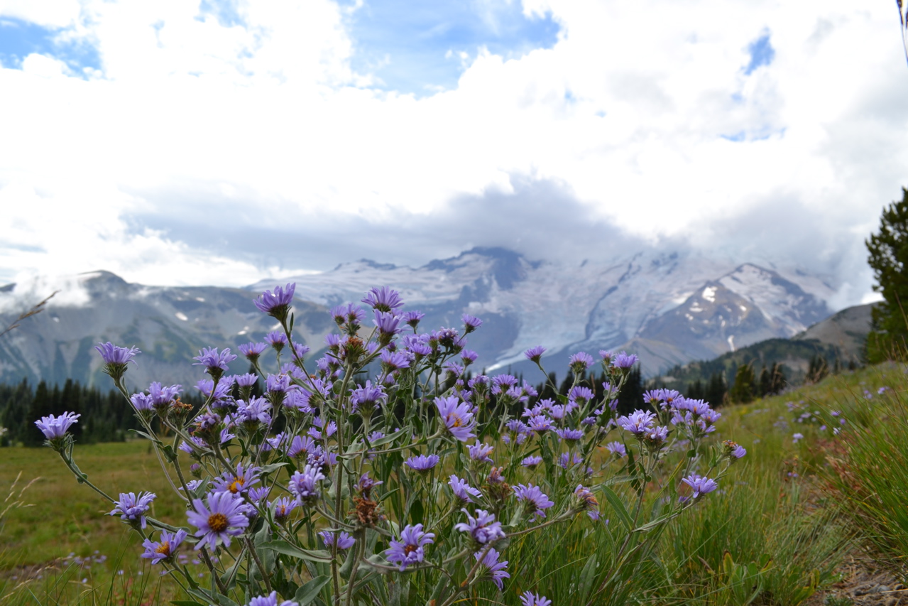 DSC_0064.JPG