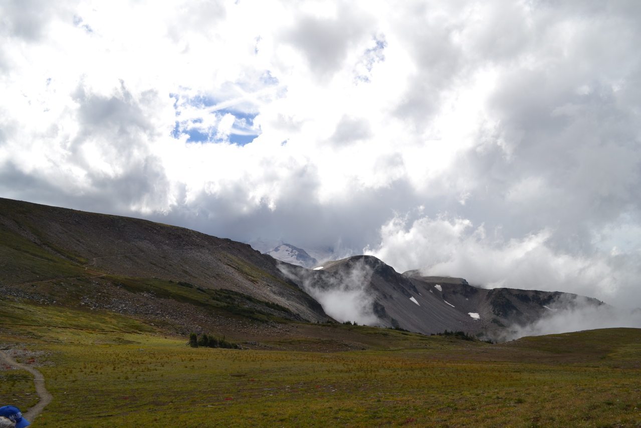DSC_0135.JPG