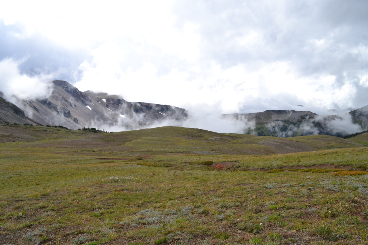 DSC_0139.JPG