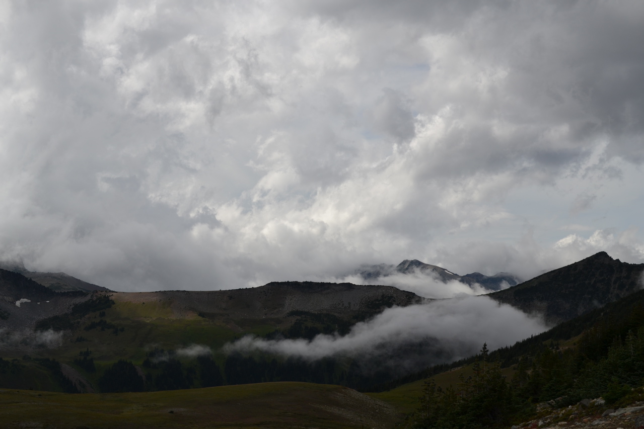 DSC_0154.JPG