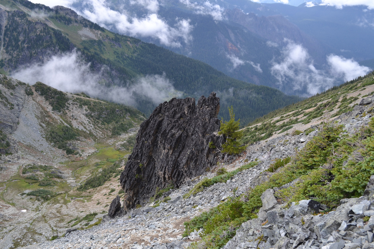 DSC_0172.JPG