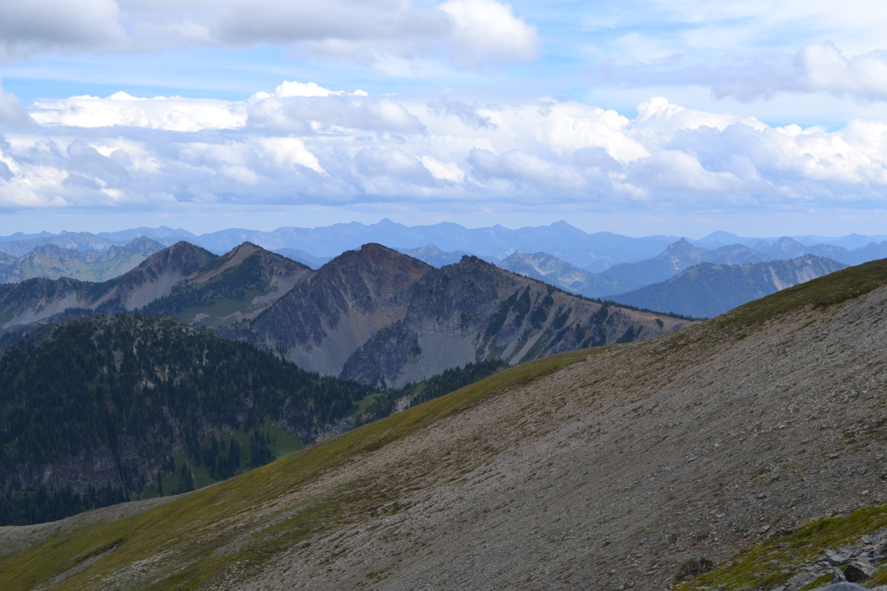 DSC_0215.JPG