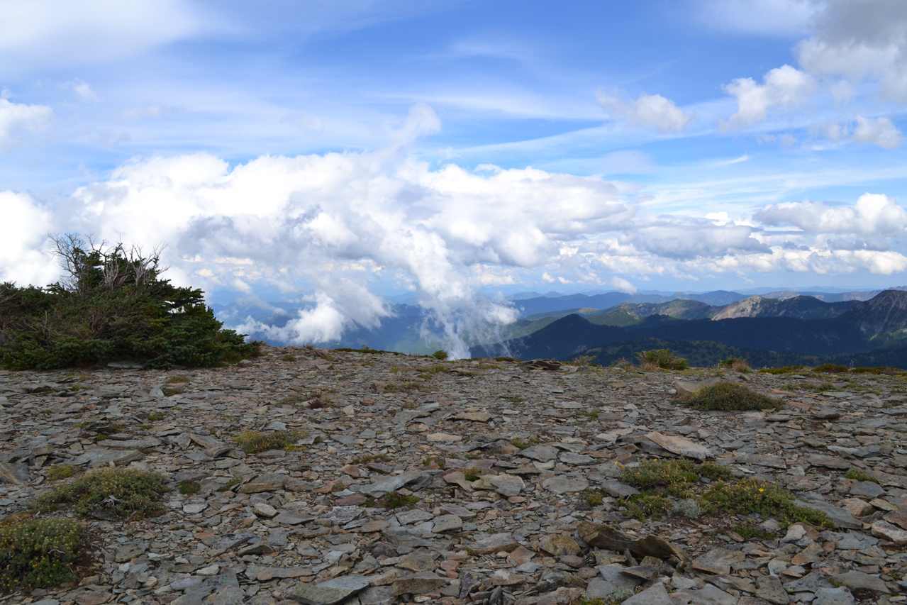 DSC_0218.JPG