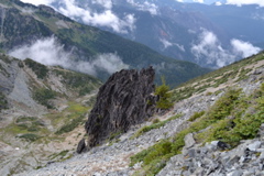 DSC_0172.JPG