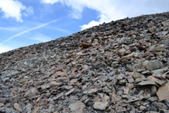 DSC_0177.JPG