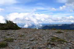 DSC_0218.JPG