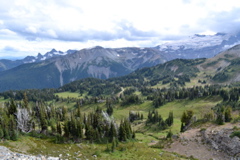 DSC_0227.JPG