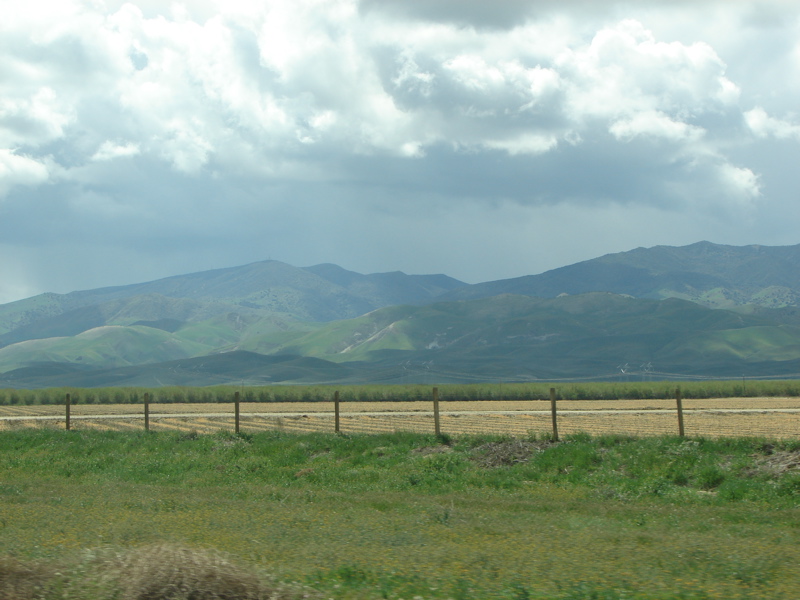 DSC01100.JPG