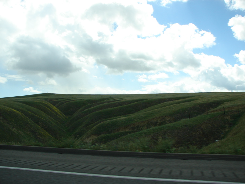 DSC01102.JPG