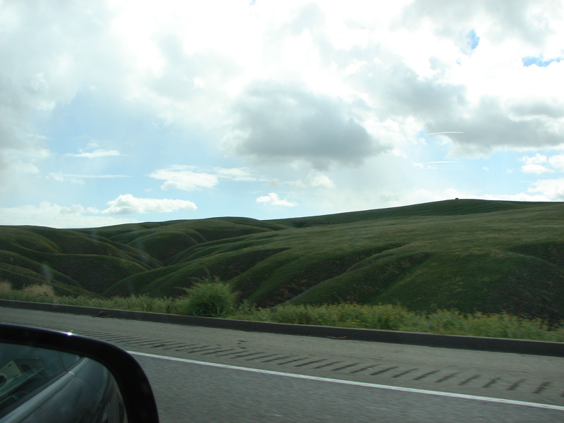DSC01103.JPG