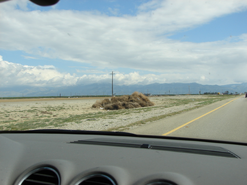 DSC01118.JPG