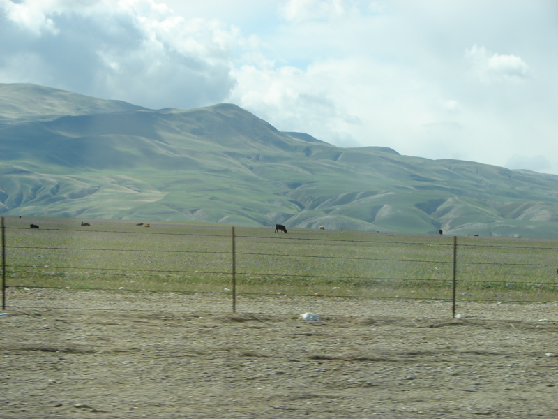 DSC01123.JPG