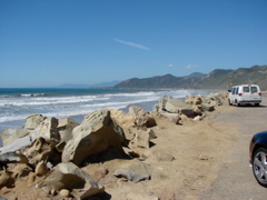 Ventura