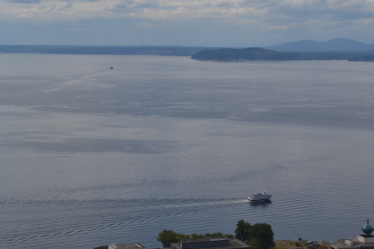 View from Space Needle