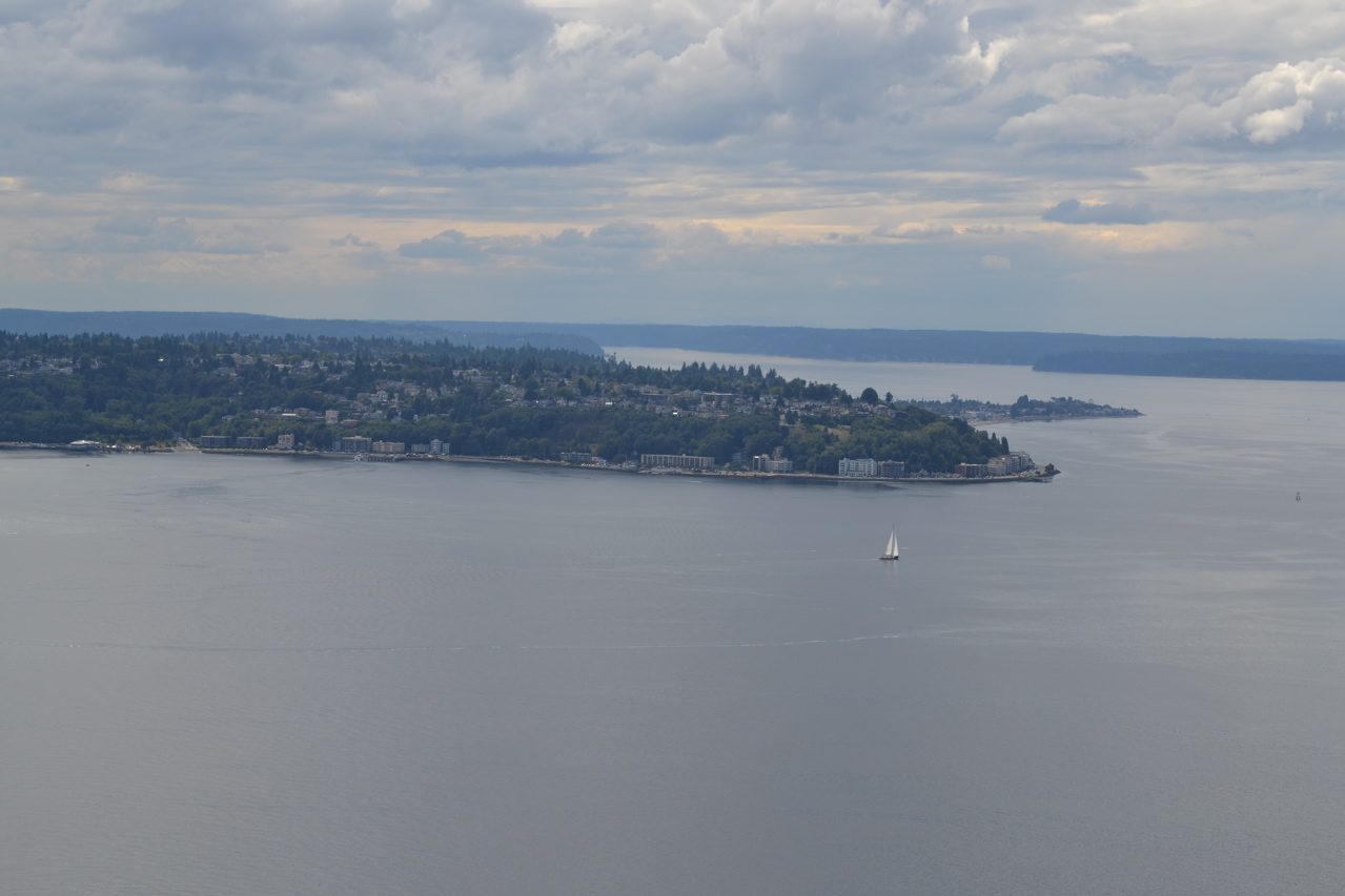 View from Space Needle