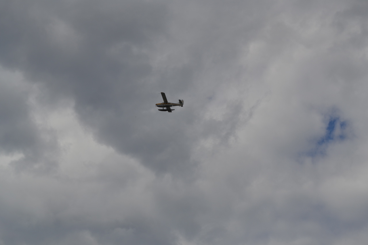 DSC_0129.JPG