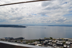 View from Space Needle