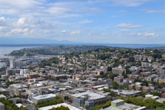 View from Space Needle