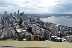 View from Space Needle