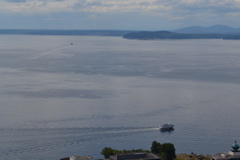 View from Space Needle