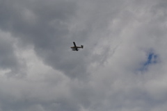 DSC_0129.JPG