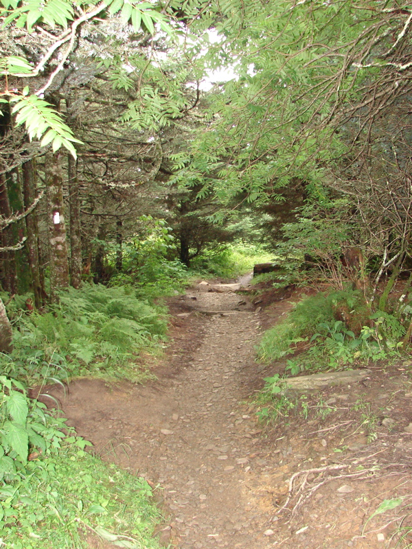 DSC01755.JPG