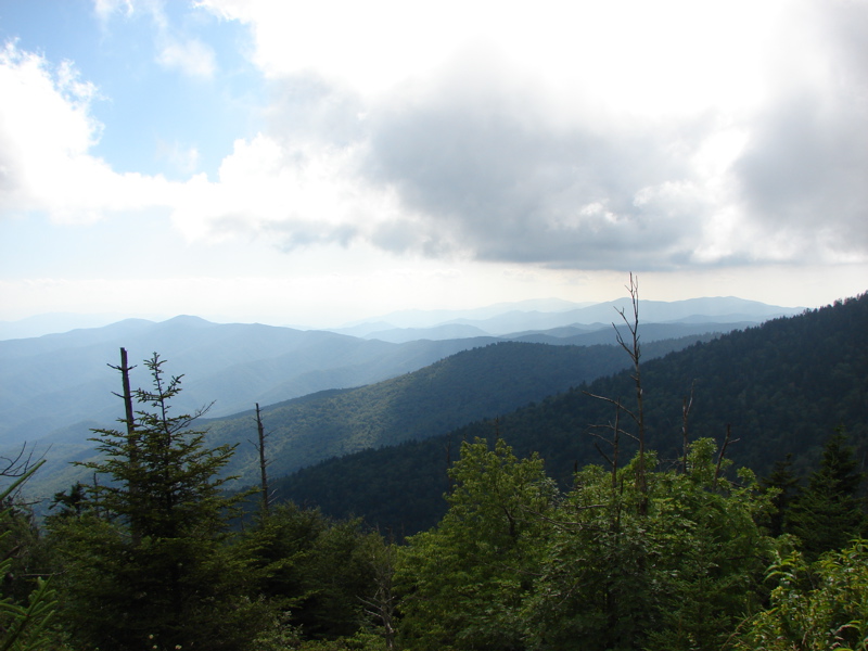 DSC01762.JPG