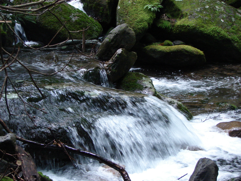 DSC01677.JPG