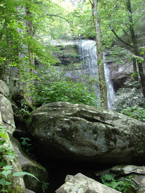 DSC01707.JPG