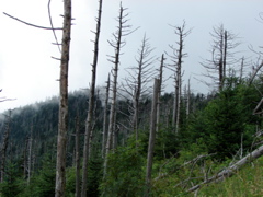 DSC01739.JPG