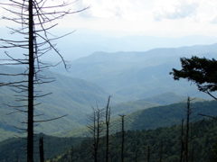 DSC01740.JPG