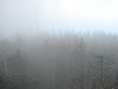 DSC01747.JPG