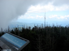 DSC01753.JPG