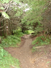 DSC01755.JPG