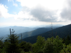 DSC01762.JPG