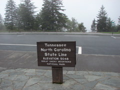DSC01646.JPG