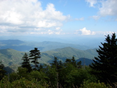 DSC01765.JPG