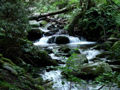 DSC01665.JPG