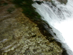 DSC01674.JPG