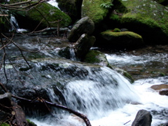 DSC01677.JPG