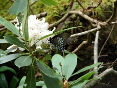 DSC01692.JPG