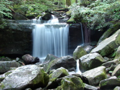 DSC01700.JPG