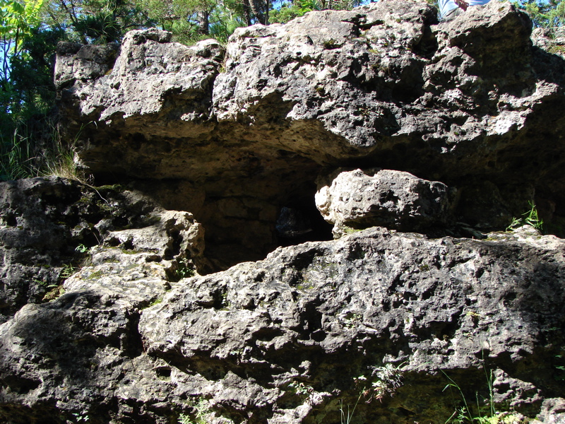 Backbone State Park, Iowa