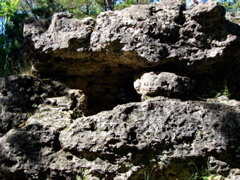 Backbone State Park, Iowa