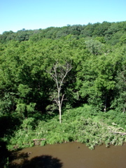 Backbone State Park, Iowa