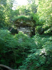 Backbone State Park, Iowa