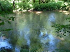 Backbone State Park, Iowa