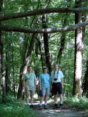 Backbone State Park, Iowa