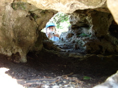 Backbone State Park, Iowa